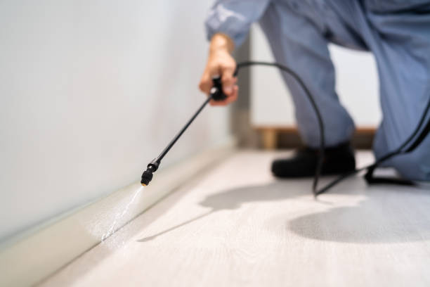 Bed Bug Pre-Treatment Preparation Assessment in Lake Helen