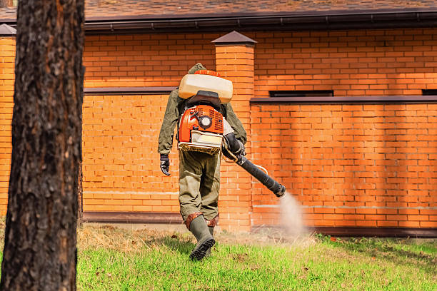 Bed Bug Clearance Verification and Documentation in Lake Helen